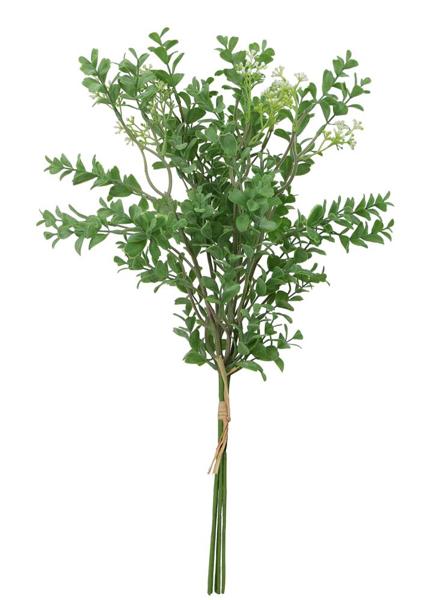 Boxwood Seed Bundle 20"