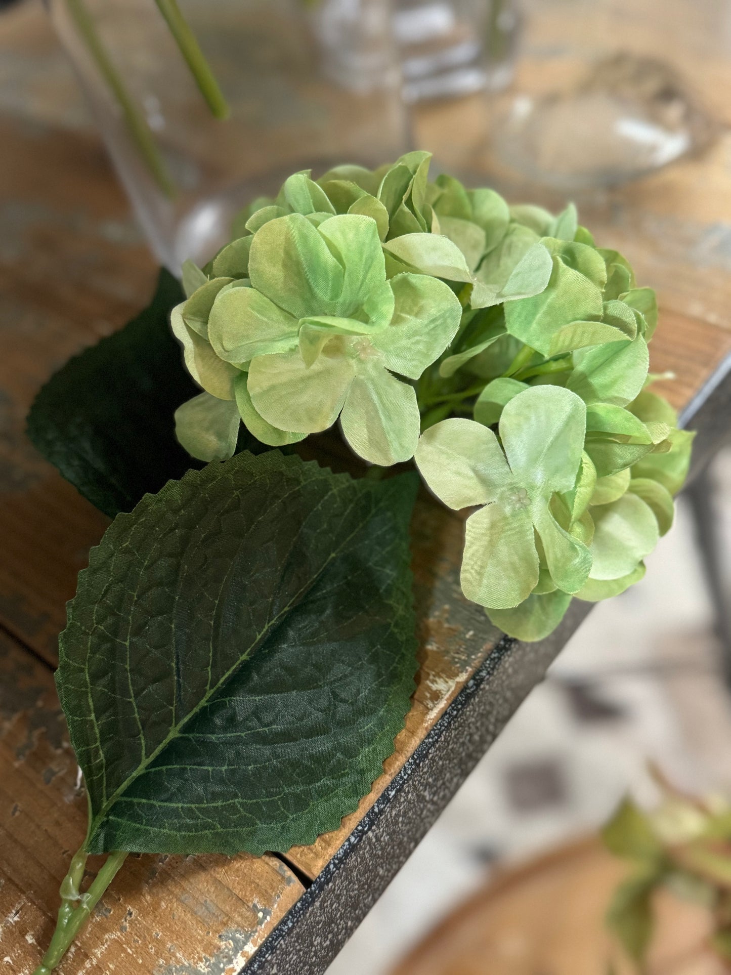 Single Stem Hydrangeas