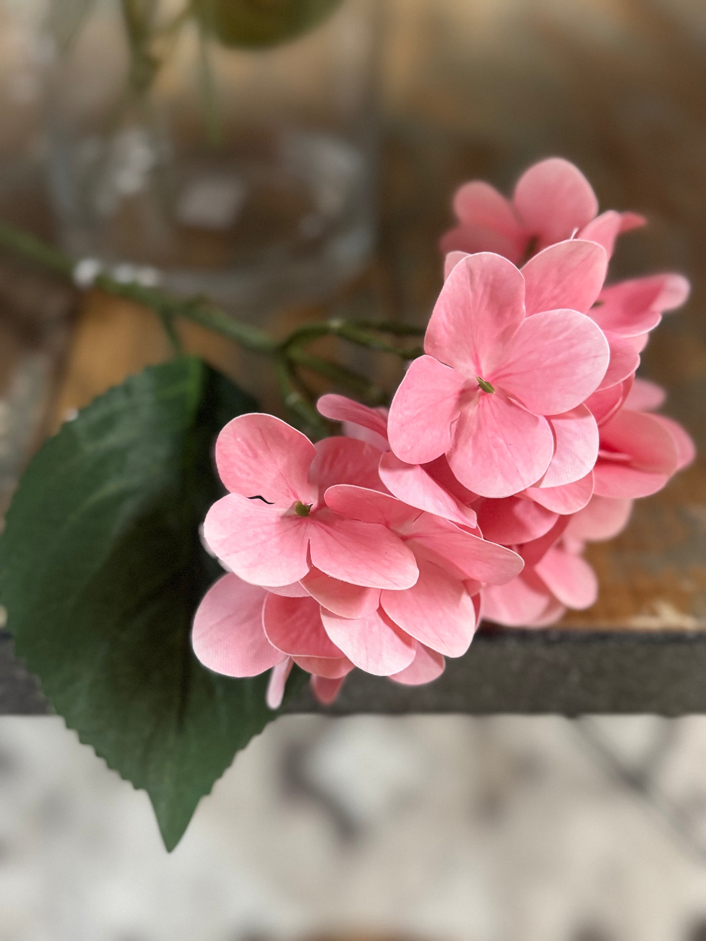 Single Stem Hydrangeas