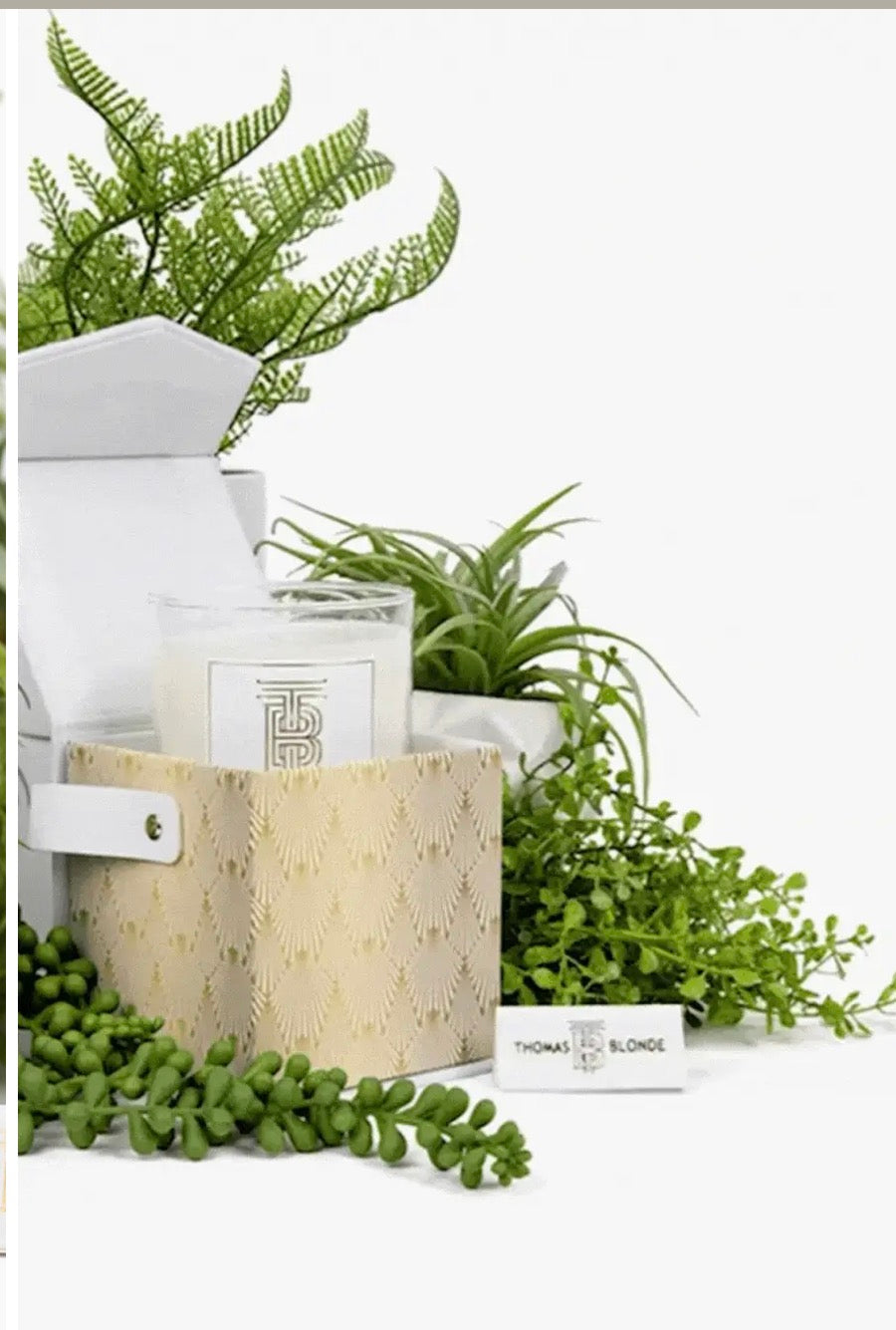 Joshua’s Tree Gift Set