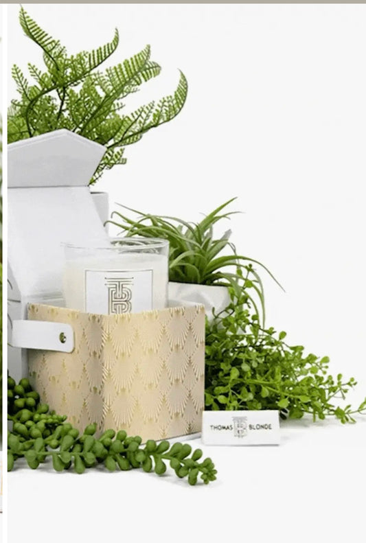 Joshua’s Tree Gift Set
