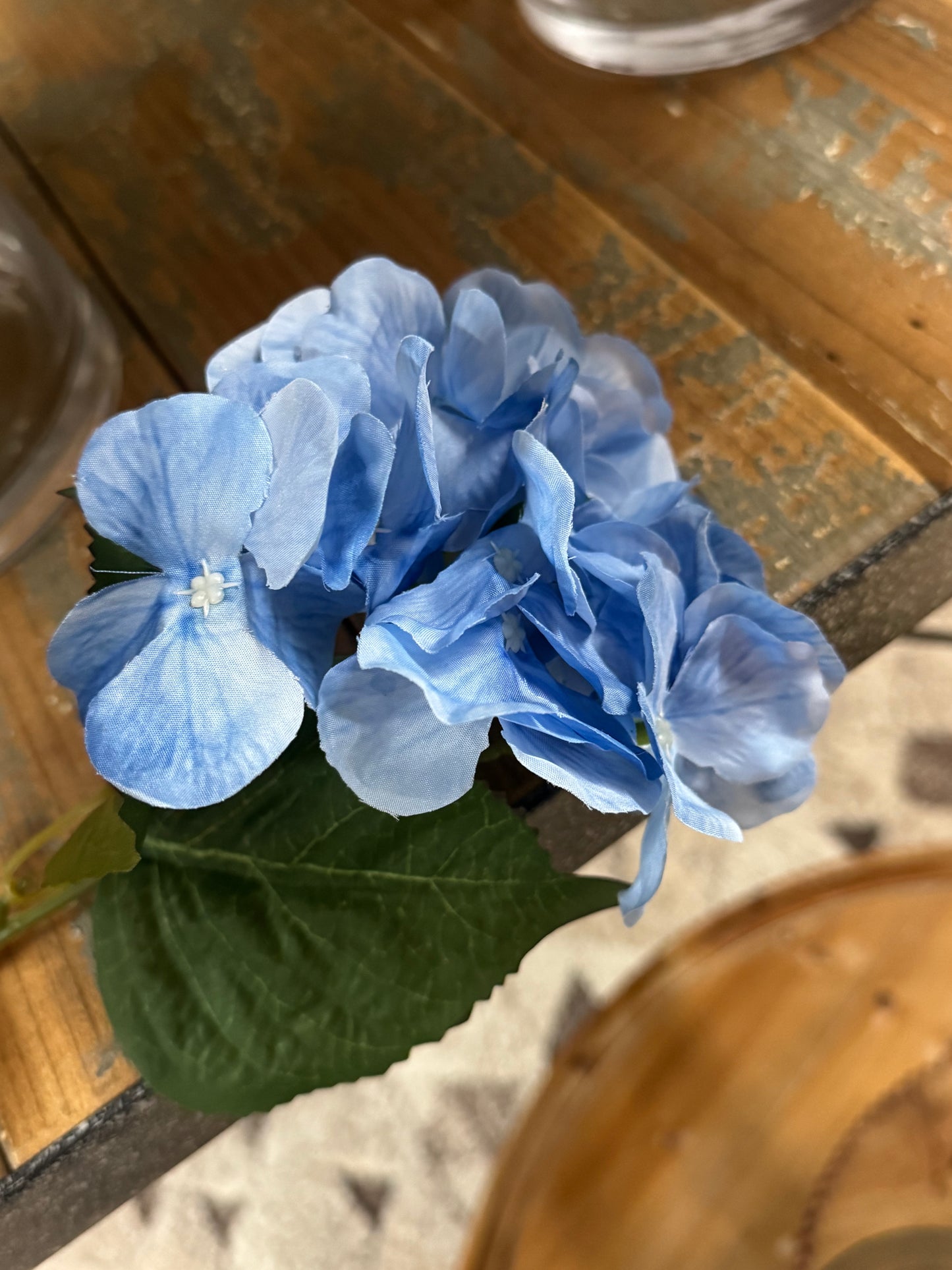 Single Stem Hydrangeas