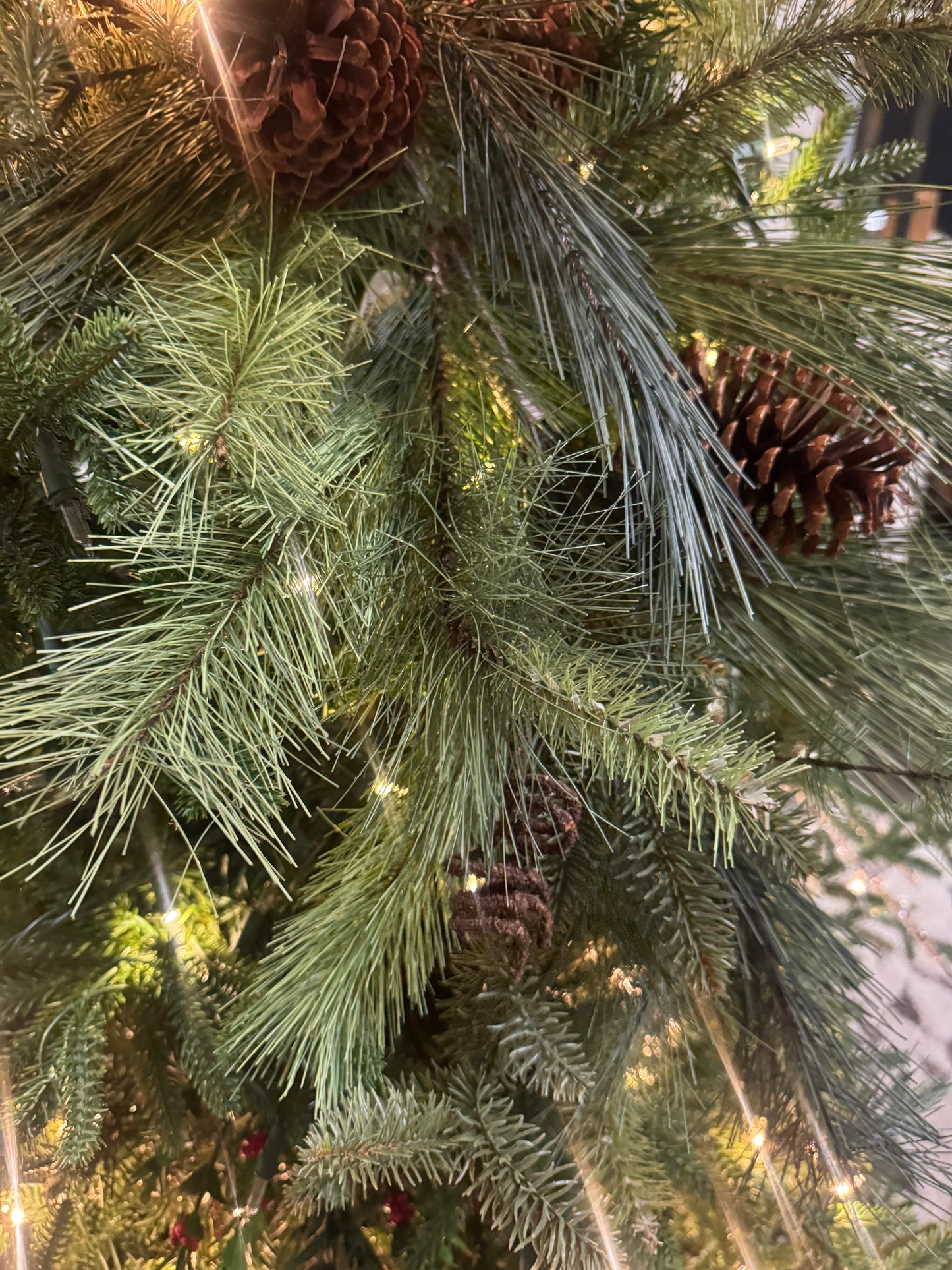 Pine Combo Branch