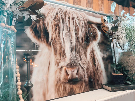 Highland Cow Art ***LOCAL PICKUP ONLY***