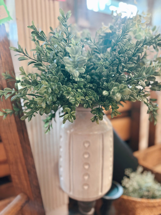 Mini Boxwood Bush 12.9"