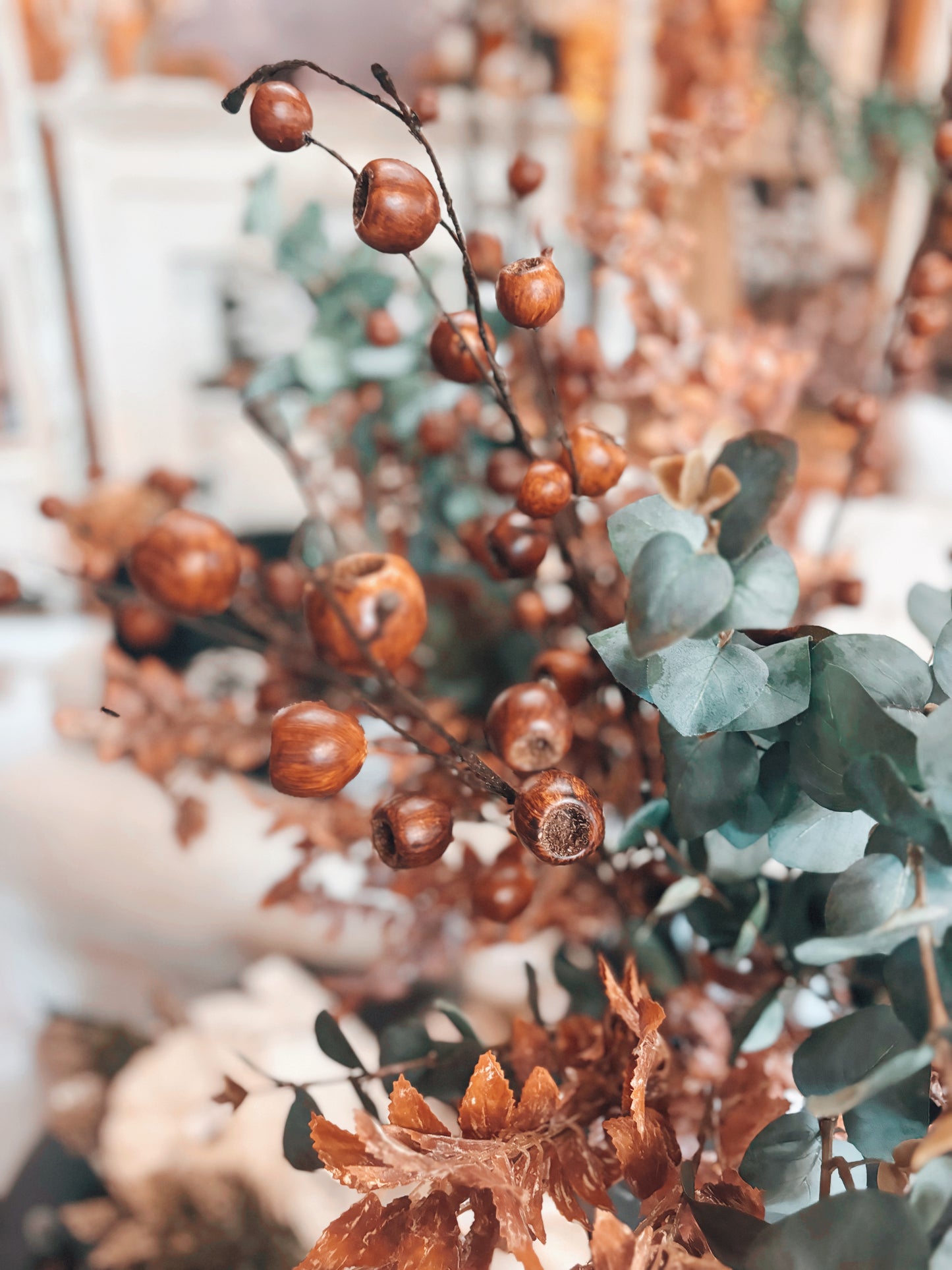 Brown Pod Stem