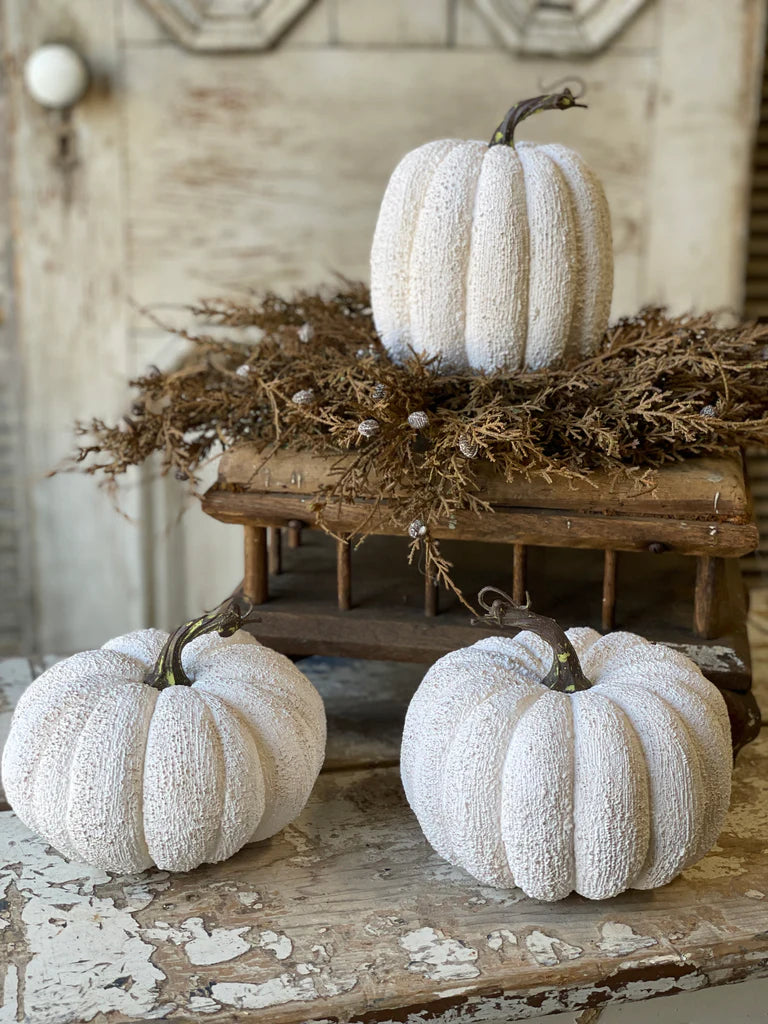 Full Moon Pumpkins