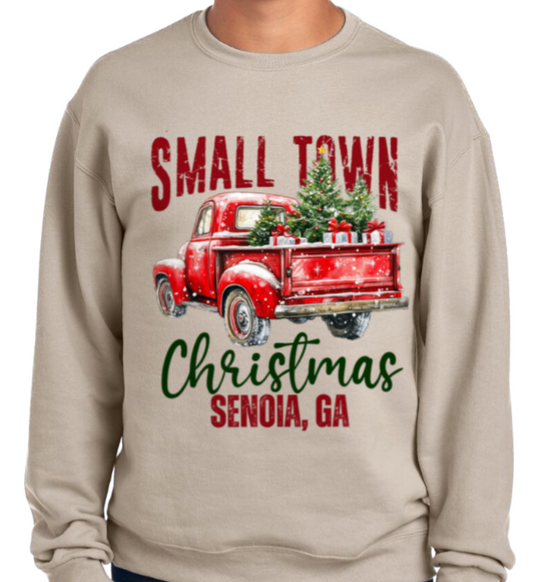 Small Town Christmas Senoia