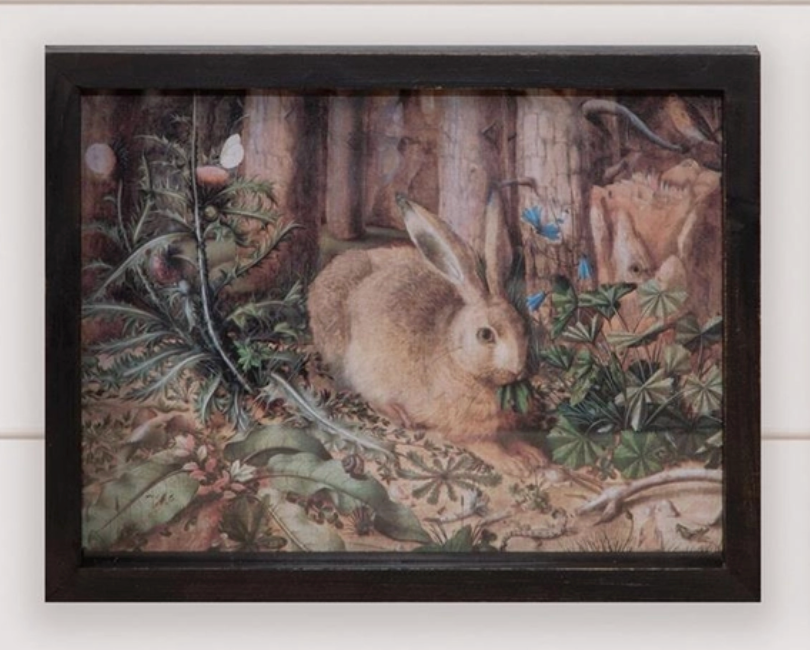 Antique Rabbit Frames