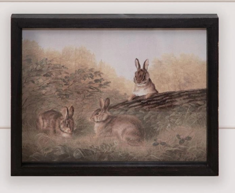 Antique Rabbit Frames