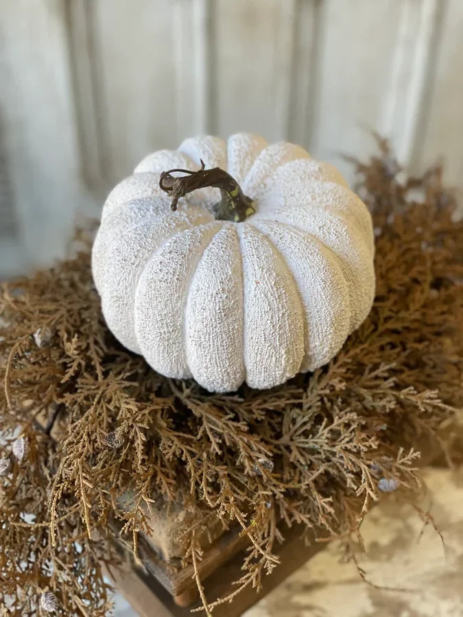 Full Moon Pumpkins