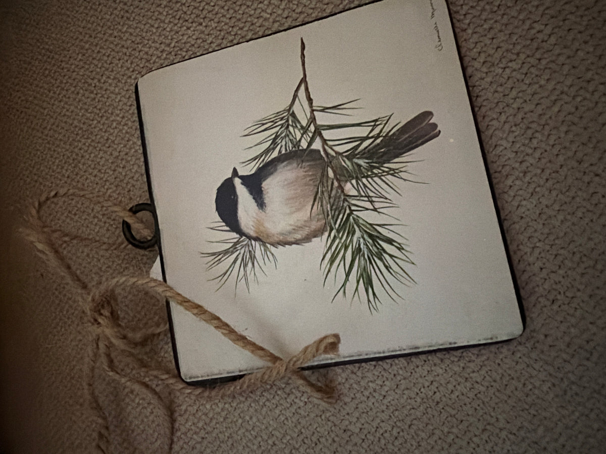 Bird Disc Orn